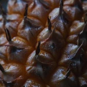 ���� ��������: ������