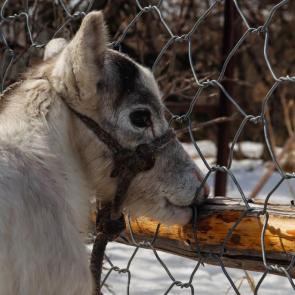 ����: ������!