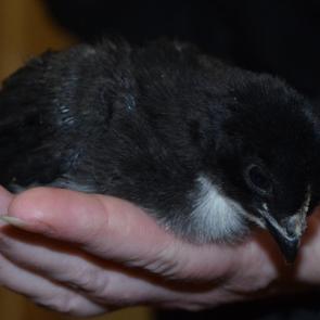 ����: � ������ �����