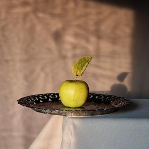 ����: ������