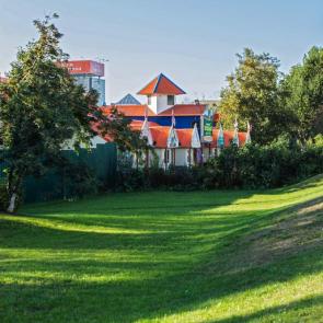 ���� ��������: ���� ����-����������