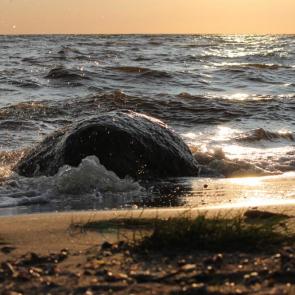 ����: ���� � ������