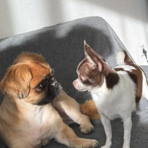 ����: ��� ������