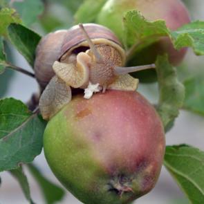 ����: ������� ������