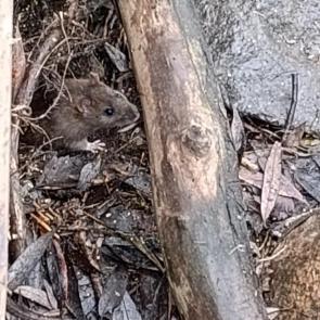 ���� ��������: � ���� ����� - ��� �� ����?