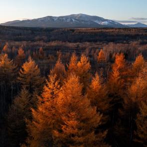 ����: ����� ����������