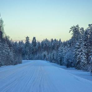 ����: ������� �������