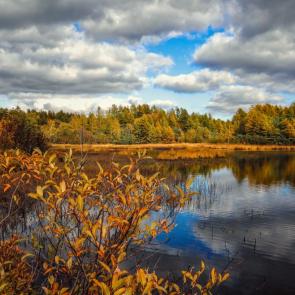 ���� ��������: ������� �����