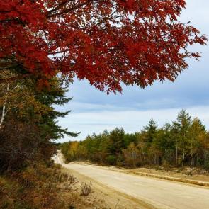 ����: ������� ������