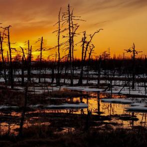 ���� ��������: �������� ������