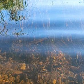 ����: ���� � ���