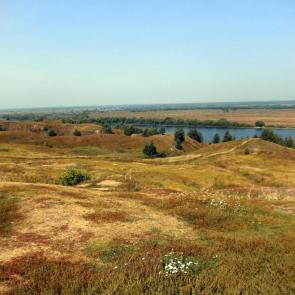 ����: �������