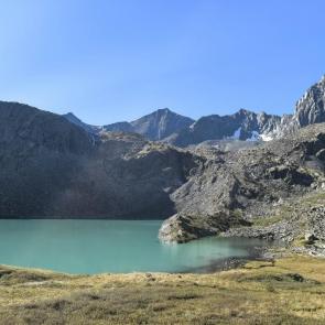 ����: ����� �����