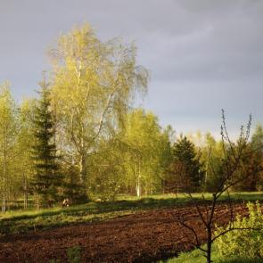 ����: � �������� ������