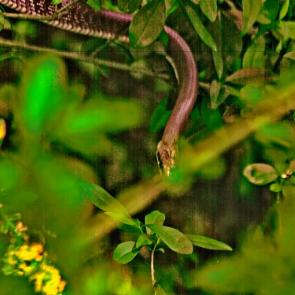 ����: ������ ������ � ������ 2