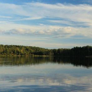 ����: ����� �����������