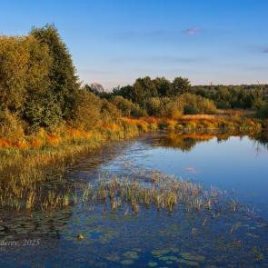 ����: ����� �� ������