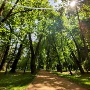 ����: ��������� ���� � �����