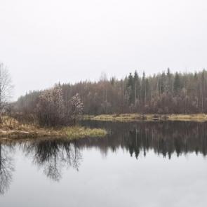 ����: ����� ����������� ����