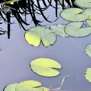 ����: � ���� ���� ���� ����� 