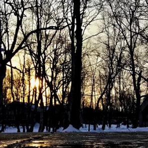 ����: �� ������