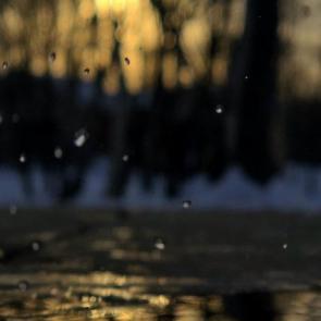 ����: �����