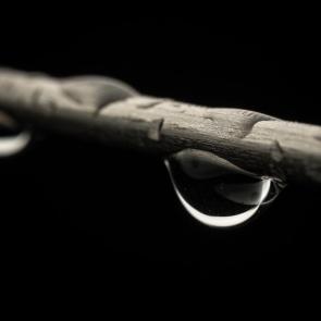 ����: �����...