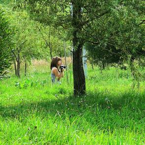 ����: ��������