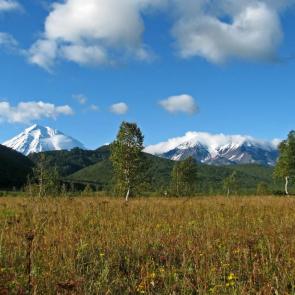 ����: ����������� ������.