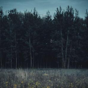 ����: ����� ��� ������ �������