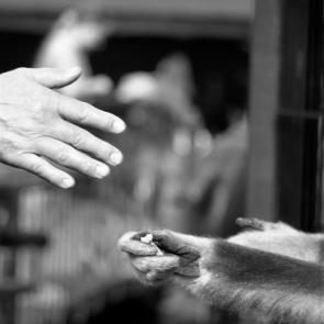 ����: ����������� ������ � ����