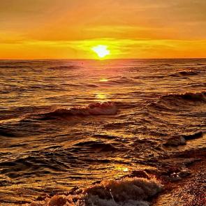 ����: ������ ������ 