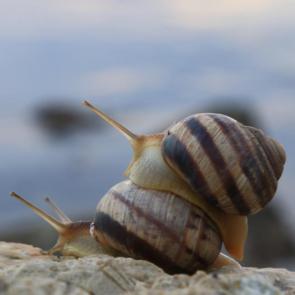 ����: ��, ���������!