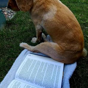 ���� ��������: ��������� 