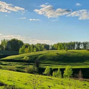 ���� ��������: 