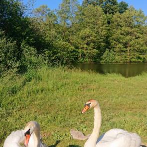 ����: � ����� 