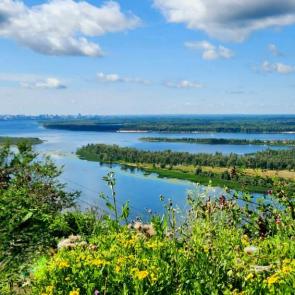 ���� ��������: 