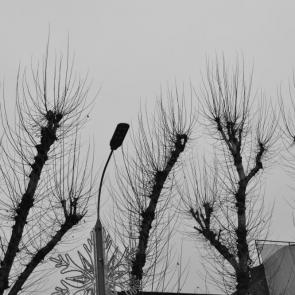 ����: ���� ����� �����