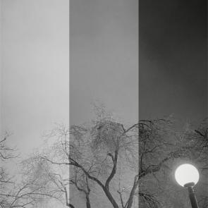 ���� ��������: 