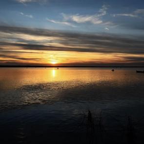 ����: ����� 