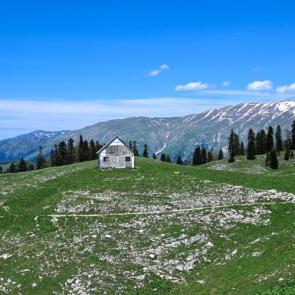 ����: ����