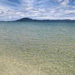 ����: ������ �����