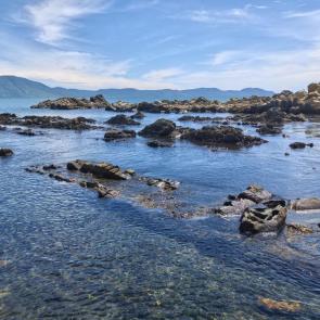 ����: �� ������