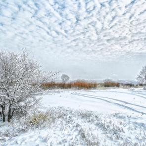 ���� ��������: 