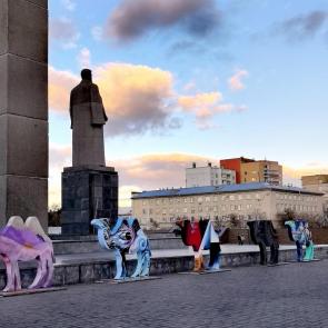 ���� ��������: ���������