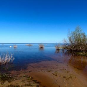 ����: ������ �������.