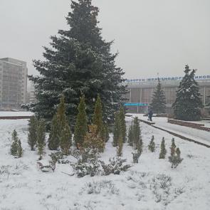 ����: ���� � ������