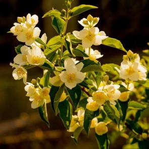 ����: ������...