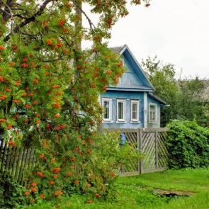 ����: �������