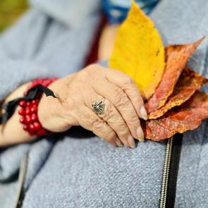 ����: ������� �� ���